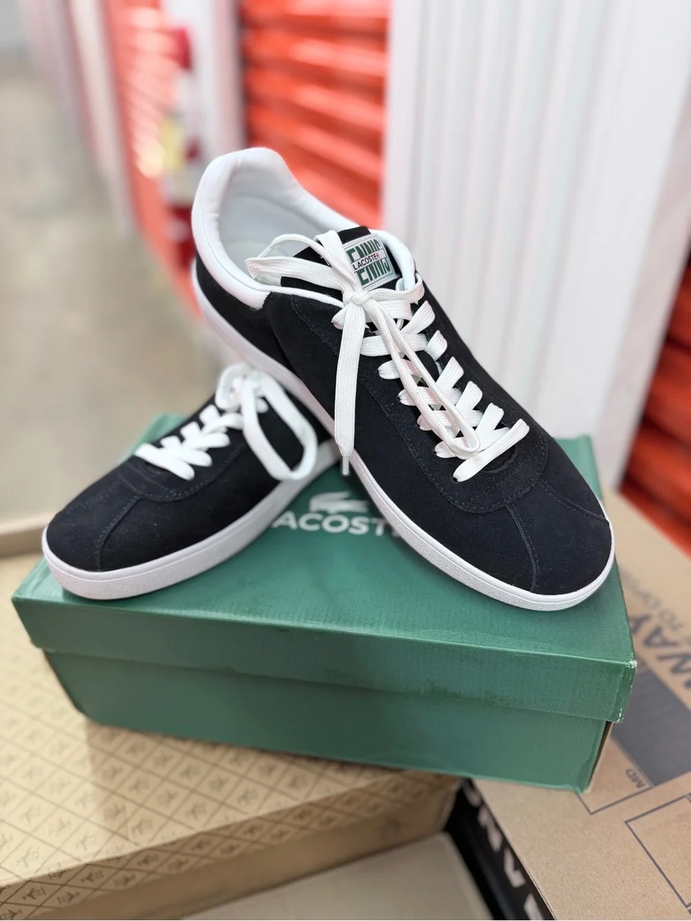 Lacoste Men's Black Suede Low-Top Sneakers with White Accents